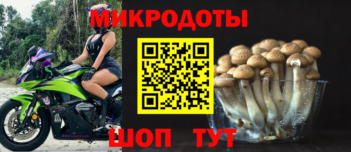 купить наркотики сайты  Вход с VPN  Псилоцибиновые грибы ЛСД  Чапаевск  Галлюциногенные грибы прущие грибы 